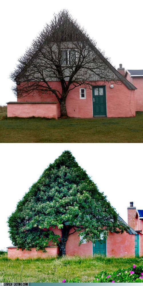 165. pink and green pitched roof ho