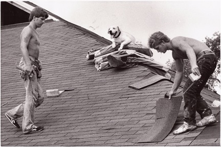171. 1960 s Dog on a roof For more