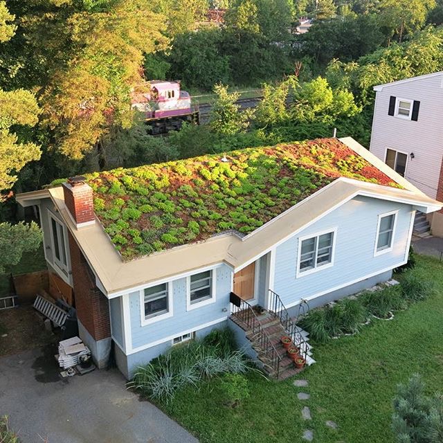 2. This green roof designed for