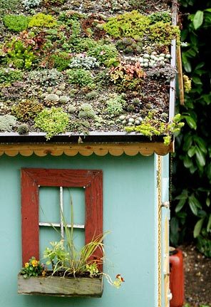 26. Living succulent roof For more