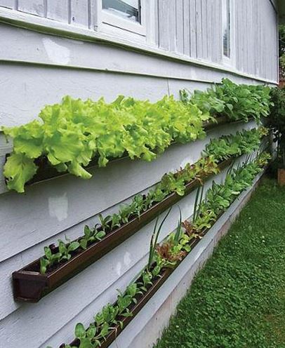 APR - GuestBlog - Gutter Helmet - Share this How-to with Your Customers So They Can Create their Own Gutter Garden