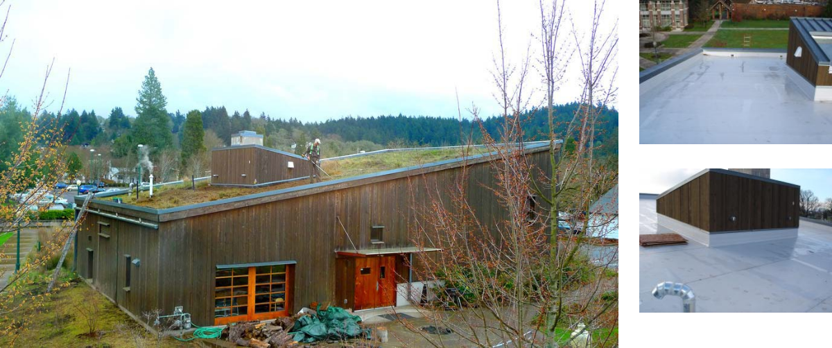 IB Roof Gallery - University of Oregon Longhouse
