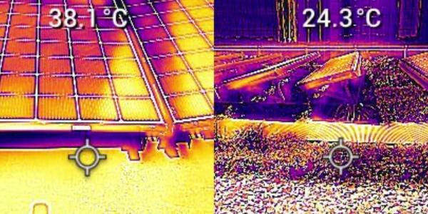 RCS Green Roofs Improve Solar Panel Efficiency