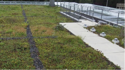 green_roof_rcs1