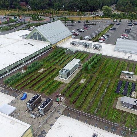 recovergreenroofs_1