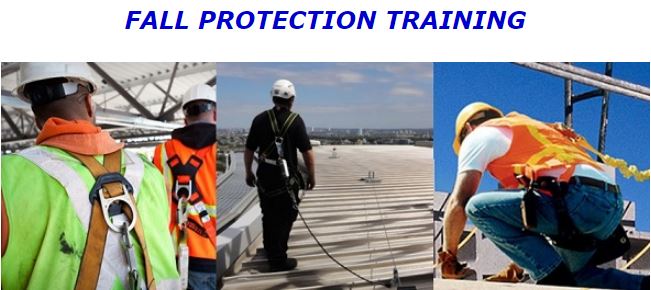 ARCA Fall Protection