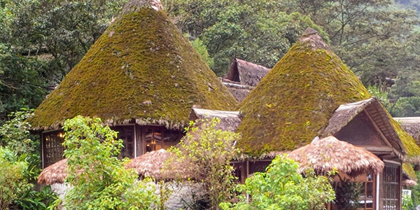 Beautiful Roofing