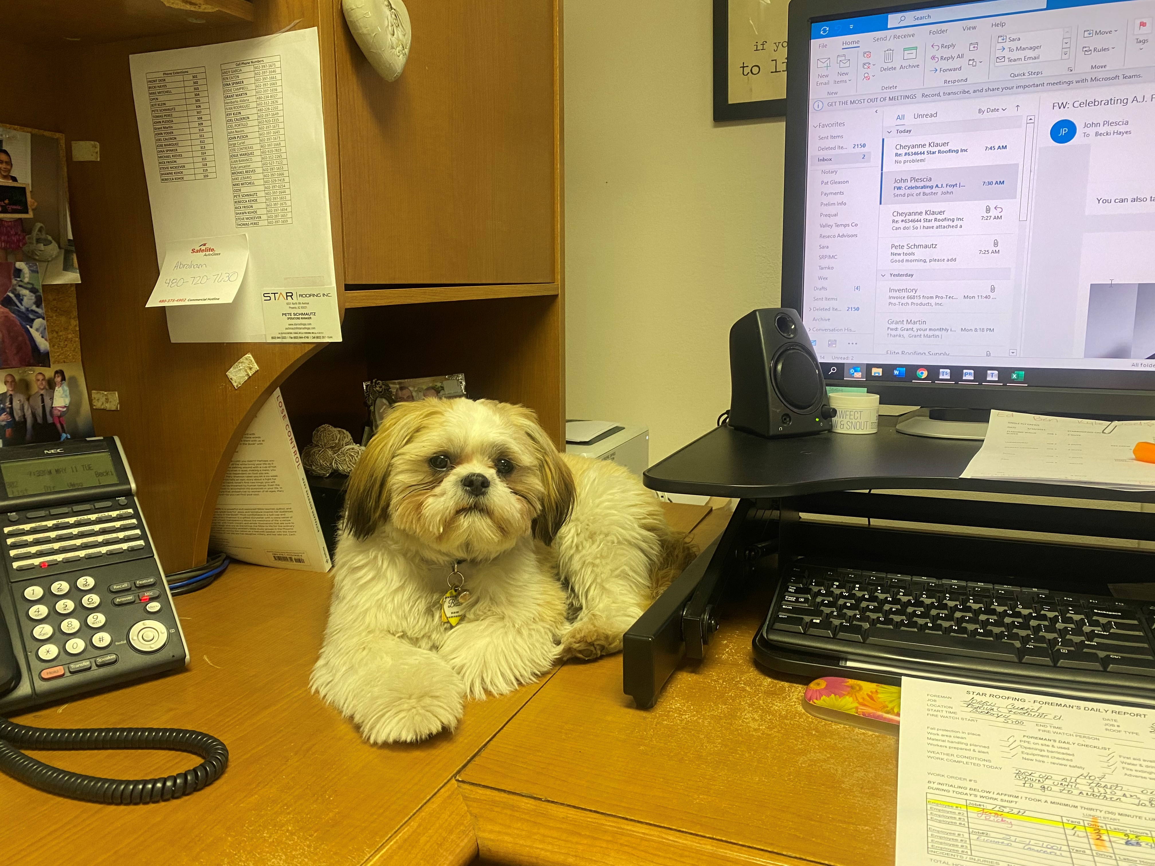 Roofing Pets