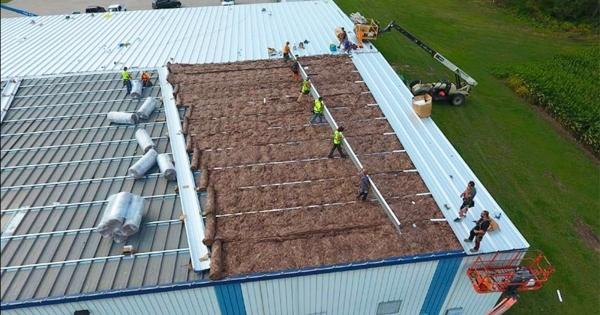 RCS Reroofing vs Recoating