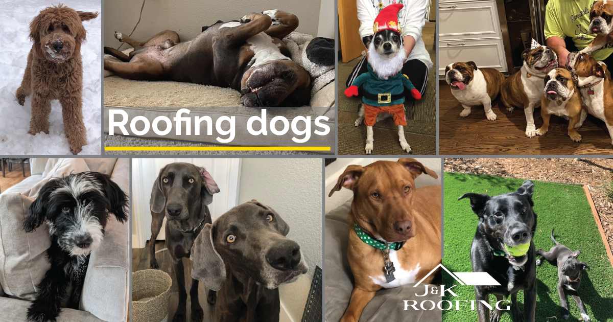 Roofing Pets