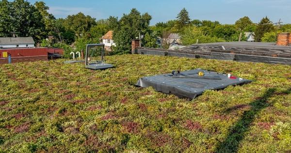 green roof waterloo